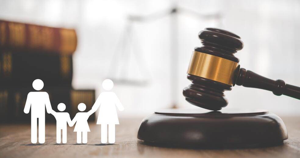 What to Expect During a Consultation with a Family Lawyer